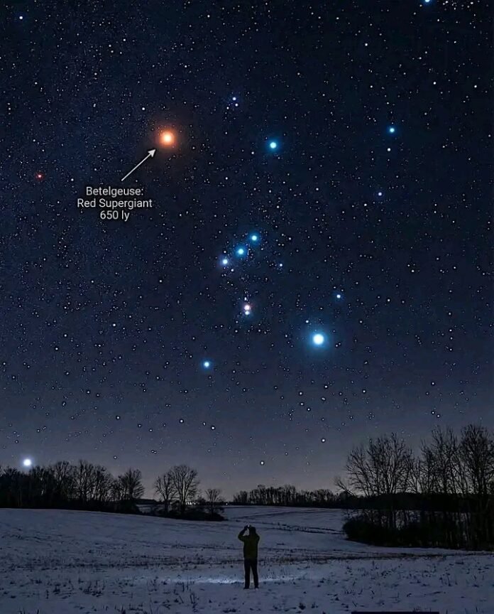 what is a red giant