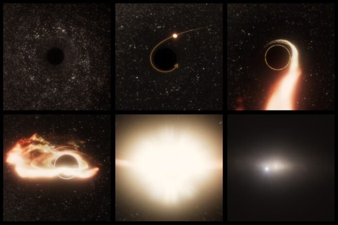 wandering black hole tidal disruption event