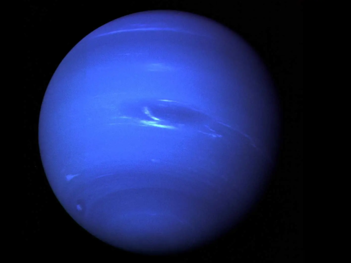 Planet Nobody